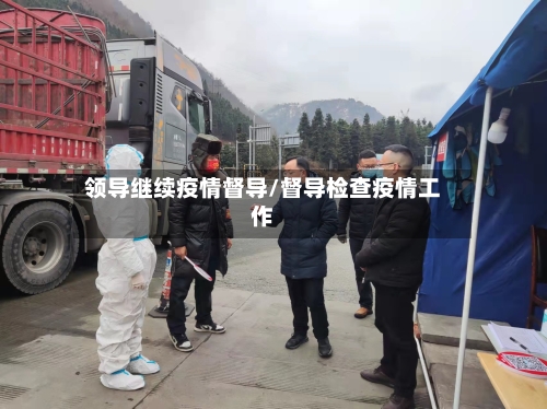 领导继续疫情督导/督导检查疫情工作-第2张图片
