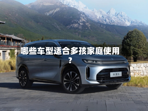 哪些车型适合多孩家庭使用?-第2张图片