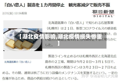【湖北疫情影响,湖北疫情损失惨重】