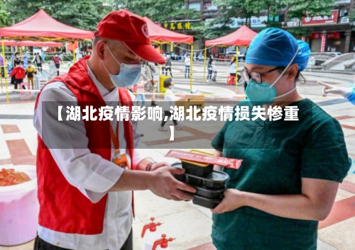 【湖北疫情影响,湖北疫情损失惨重】-第3张图片