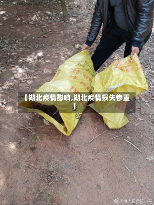 【湖北疫情影响,湖北疫情损失惨重】-第2张图片