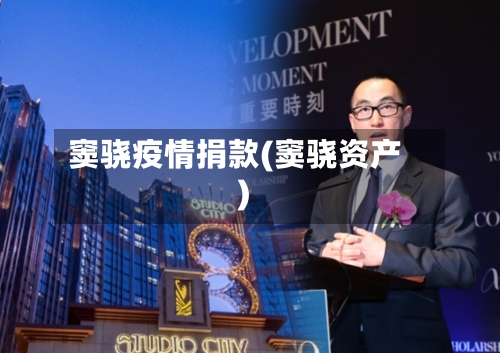 窦骁疫情捐款(窦骁资产)-第2张图片