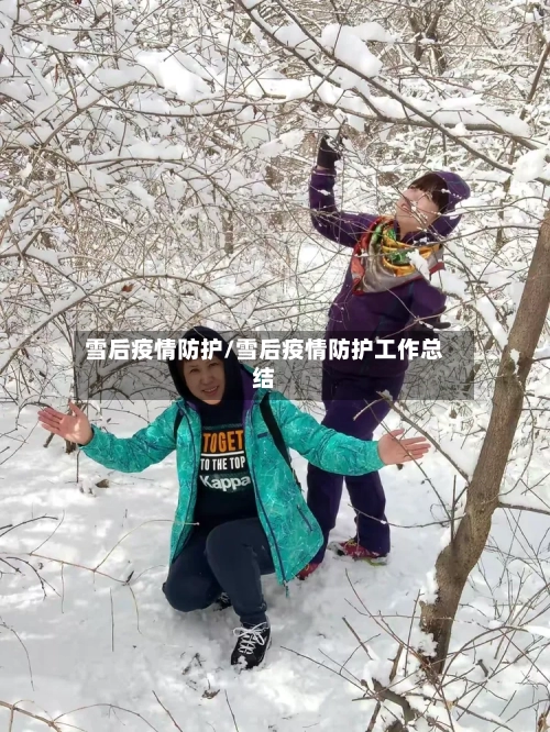 雪后疫情防护/雪后疫情防护工作总结-第2张图片