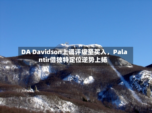 DA Davidson上调评级至买入，Palantir借独特定位逆势上扬