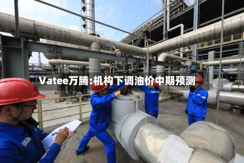 Vatee万腾:机构下调油价中期预测-第2张图片