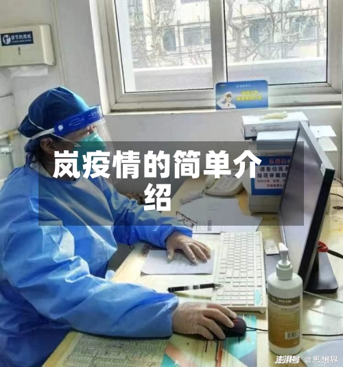 岚疫情的简单介绍-第3张图片
