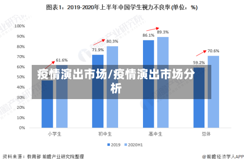 疫情演出市场/疫情演出市场分析