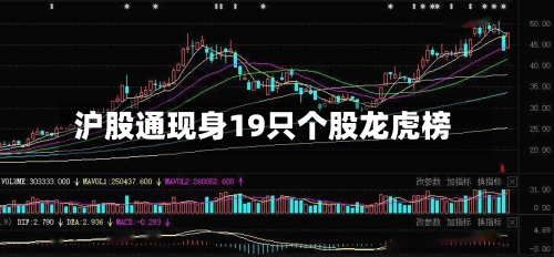 沪股通现身19只个股龙虎榜