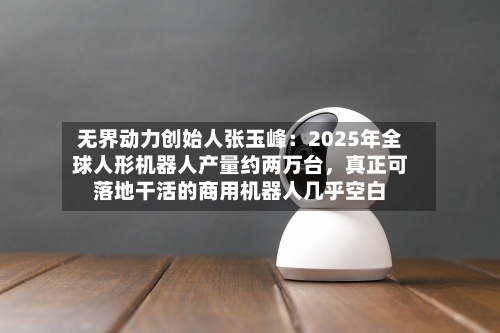 无界动力创始人张玉峰：2025年全球人形机器人产量约两万台，真正可落地干活的商用机器人几乎空白-第3张图片