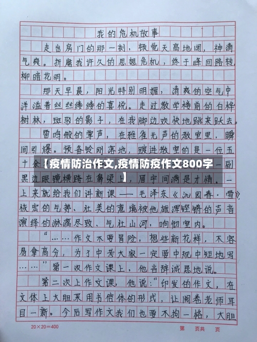 【疫情防治作文,疫情防疫作文800字】