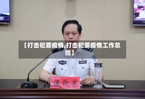 【打击犯罪疫情,打击犯罪疫情工作总结】-第2张图片