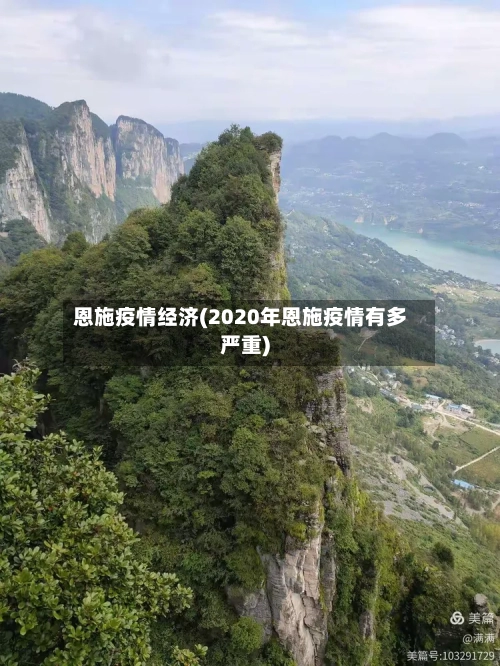 恩施疫情经济(2020年恩施疫情有多严重)-第2张图片
