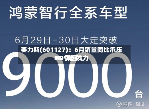 赛力斯(601127)：6月销量同比承压 M〖陆〗、M9快速发力-第3张图片