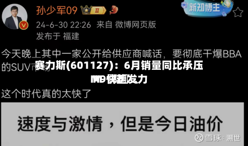 赛力斯(601127)：6月销量同比承压 M〖陆〗、M9快速发力-第3张图片