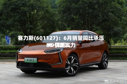 赛力斯(601127)：6月销量同比承压 M〖陆〗、M9快速发力-第2张图片