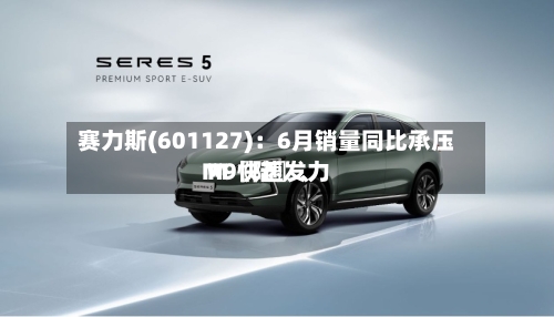 赛力斯(601127)：6月销量同比承压 M〖陆〗、M9快速发力-第2张图片