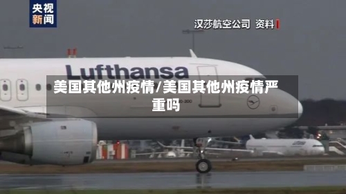 美国其他州疫情/美国其他州疫情严重吗