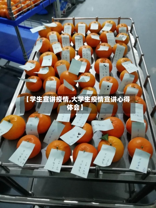 【学生宣讲疫情,大学生疫情宣讲心得体会】-第3张图片