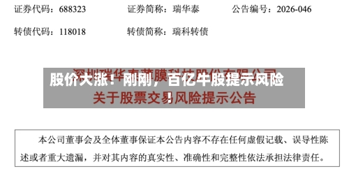 股价大涨！刚刚，百亿牛股提示风险！-第2张图片