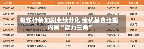 极致行情加剧业绩分化 绩优基金经理内置“能力三角”-第3张图片