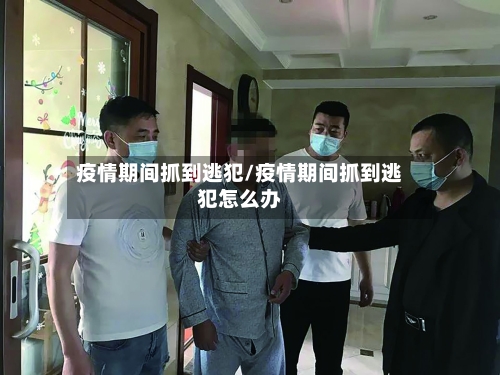 疫情期间抓到逃犯/疫情期间抓到逃犯怎么办