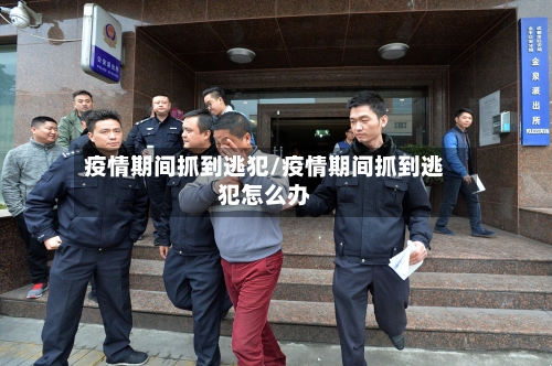 疫情期间抓到逃犯/疫情期间抓到逃犯怎么办-第2张图片