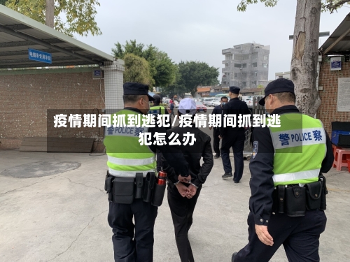 疫情期间抓到逃犯/疫情期间抓到逃犯怎么办-第3张图片