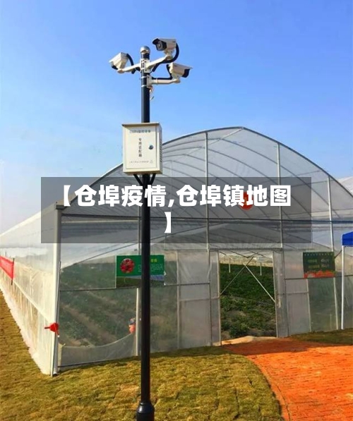 【仓埠疫情,仓埠镇地图】-第2张图片