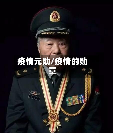 疫情元勋/疫情的勋章-第2张图片