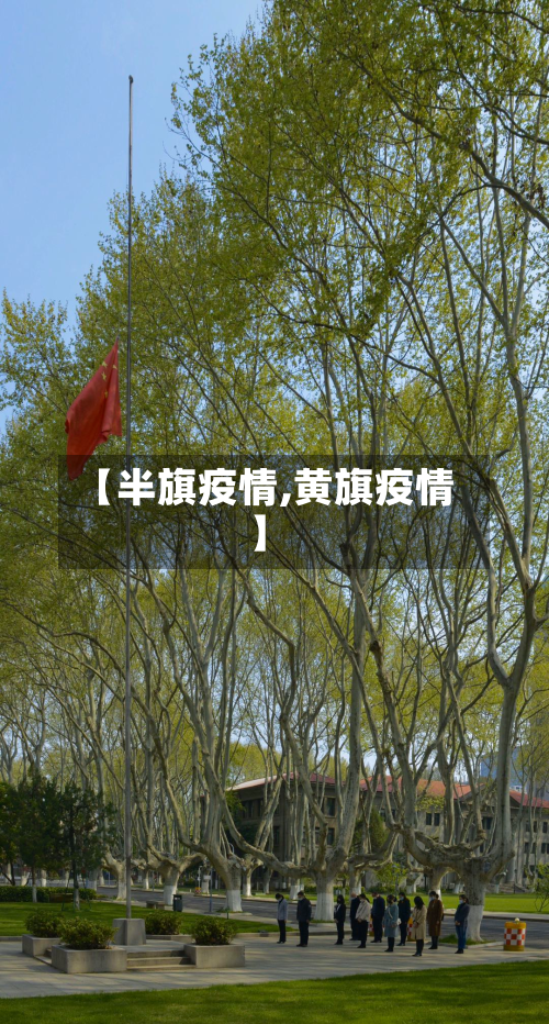 【半旗疫情,黄旗疫情】