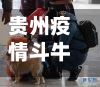 贵州疫情斗牛/贵州疫情紧急通知-第3张图片