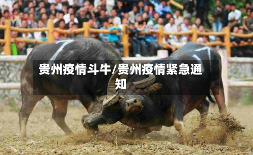 贵州疫情斗牛/贵州疫情紧急通知-第2张图片