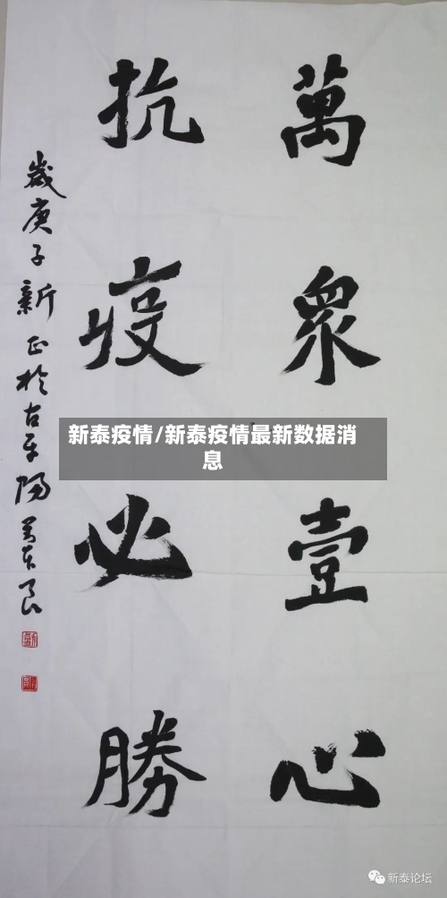 新泰疫情/新泰疫情最新数据消息-第2张图片