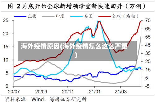 海外疫情原因(海外疫情怎么这么严重)-第2张图片