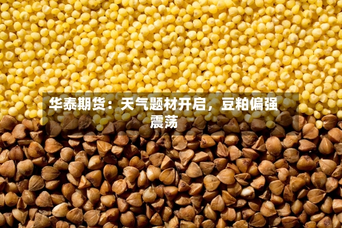 华泰期货：天气题材开启	，豆粕偏强震荡-第2张图片