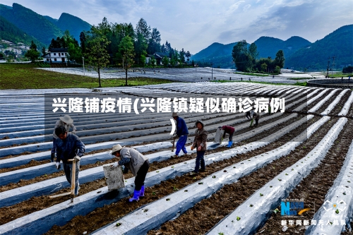 兴隆铺疫情(兴隆镇疑似确诊病例)