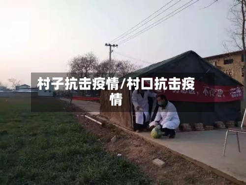 村子抗击疫情/村口抗击疫情
