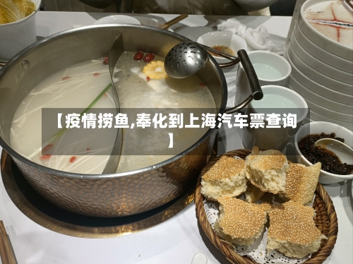 【疫情捞鱼,奉化到上海汽车票查询】-第2张图片