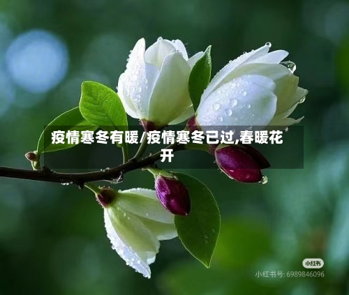疫情寒冬有暖/疫情寒冬已过,春暖花开