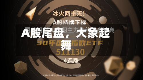 A股尾盘，大象起舞-第3张图片
