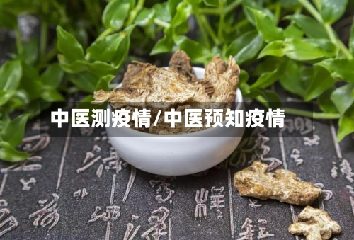 中医测疫情/中医预知疫情-第2张图片