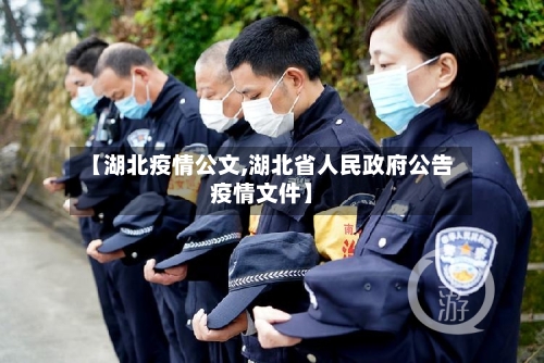 【湖北疫情公文,湖北省人民政府公告疫情文件】