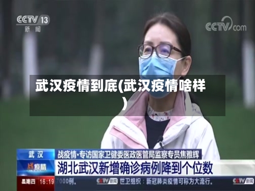 武汉疫情到底(武汉疫情啥样)