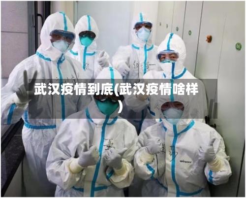 武汉疫情到底(武汉疫情啥样)-第3张图片