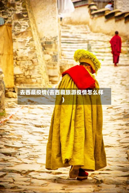 去西藏疫情(去西藏旅游疫情怎么样)