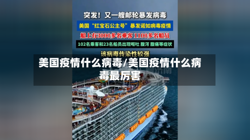 美国疫情什么病毒/美国疫情什么病毒最厉害-第2张图片
