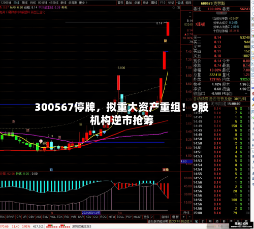 300567停牌	，拟重大资产重组！9股机构逆市抢筹-第2张图片