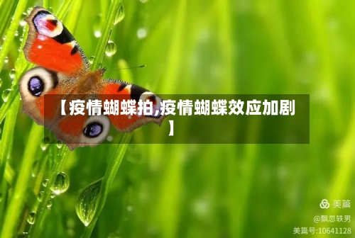 【疫情蝴蝶拍,疫情蝴蝶效应加剧】