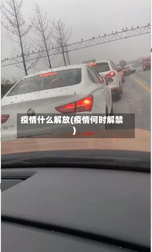 疫情什么解放(疫情何时解禁)