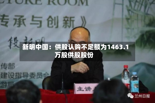新明中国：供股认购不足额为1463.1万股供股股份